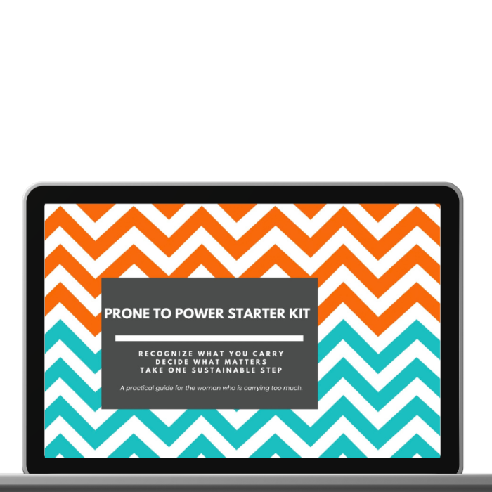 PRONE to Power Toolkit laptop mockup